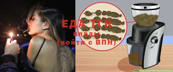 индика Аркадак