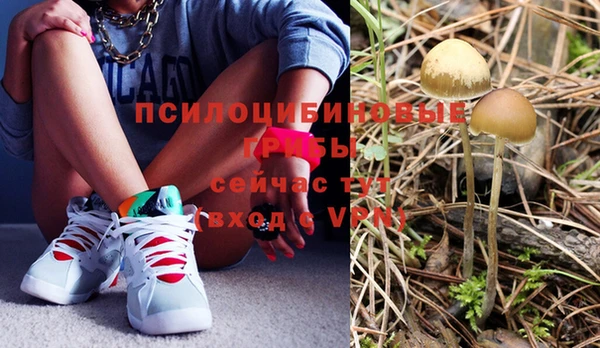 Альфа ПВП Баксан