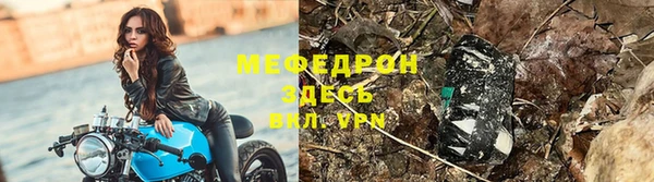 индика Аркадак