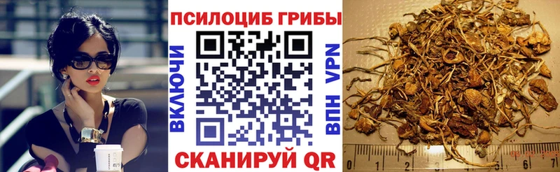 Галлюциногенные грибы Psilocybine cubensis  Электрогорск 